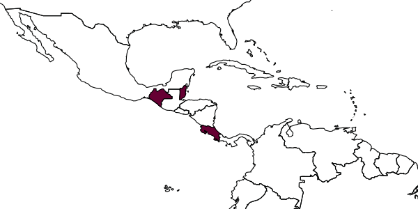 map of Aporus chiapanus     Evans, 1966